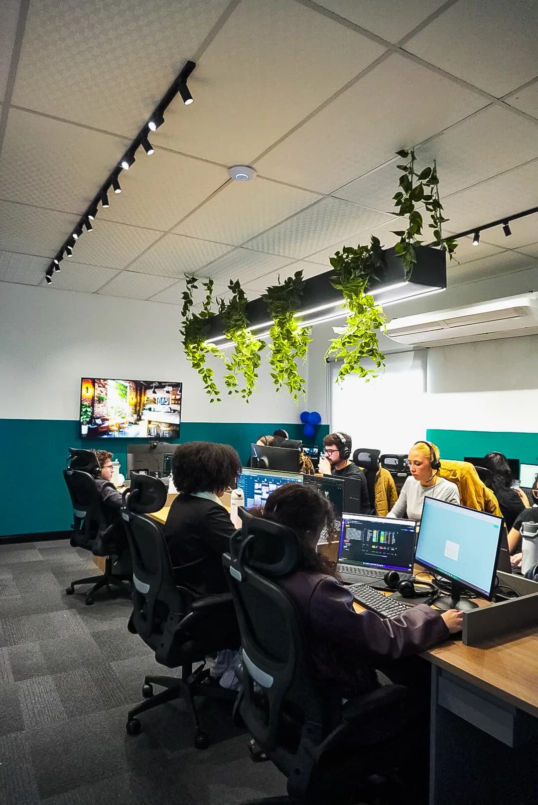 Open space do escritório com plantas penduradas e o time nas estações